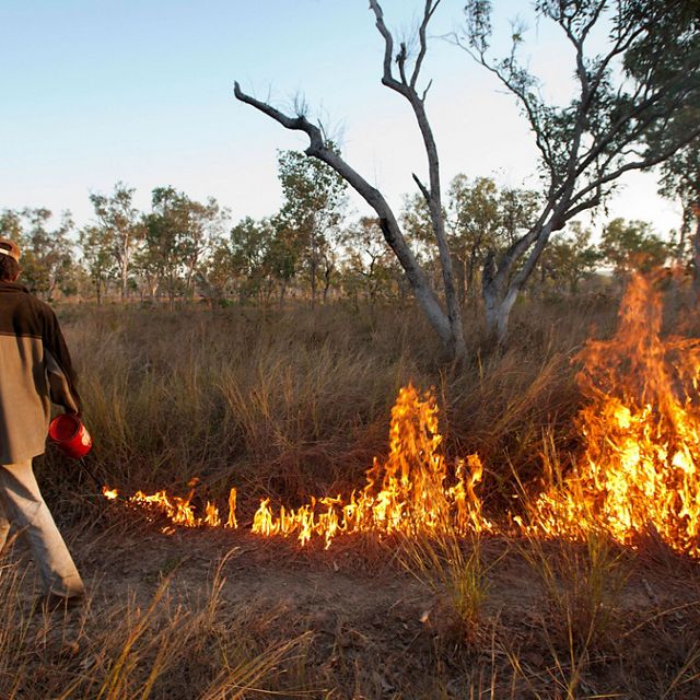 A man tending a controlled burn on a grassy area