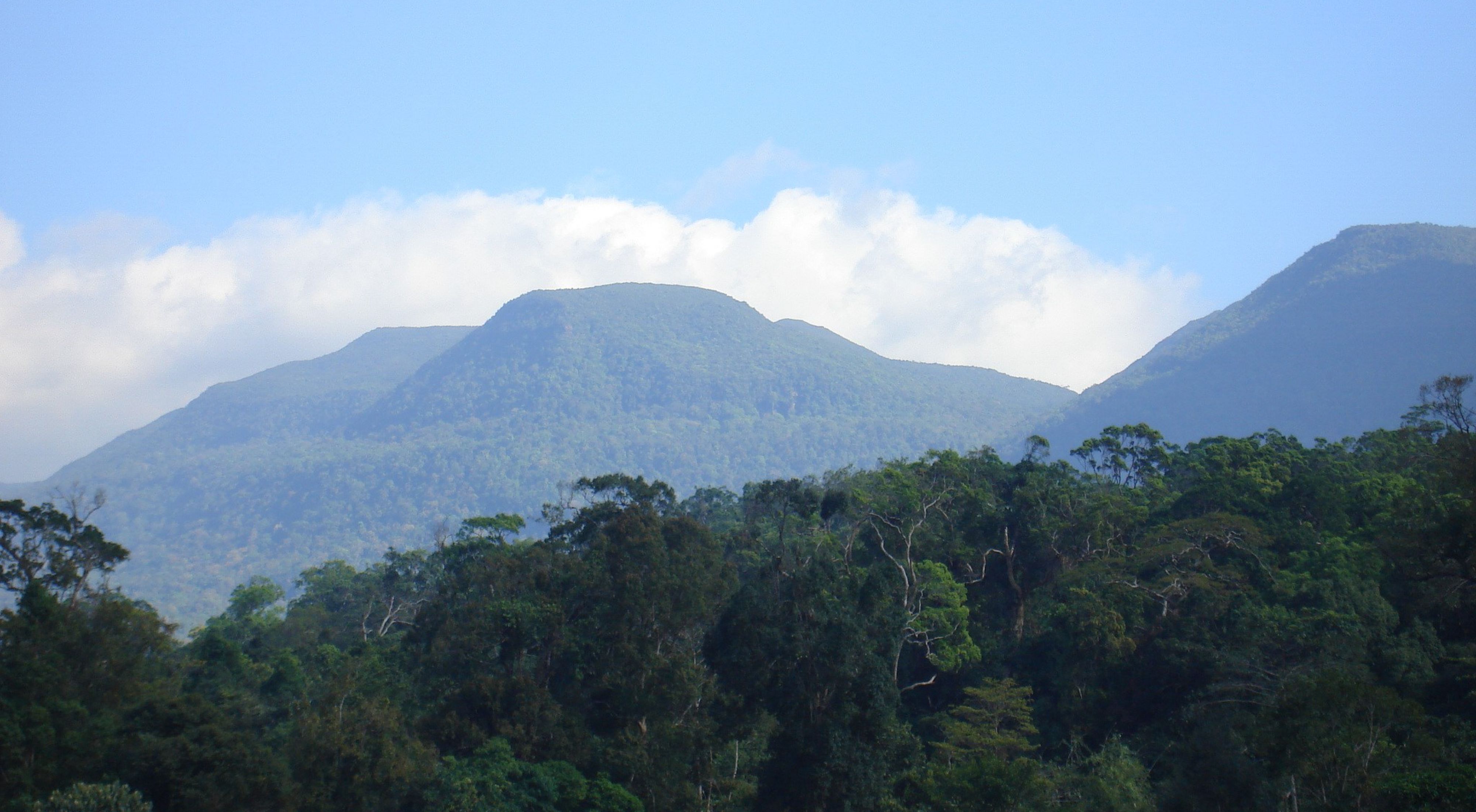 jungle mountains under a blue sky