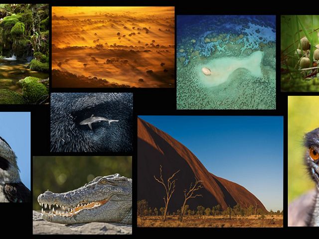 2024 Oceania Photo Contest