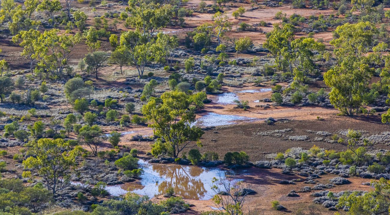 A aerial view of part of Cuttaburra National Park