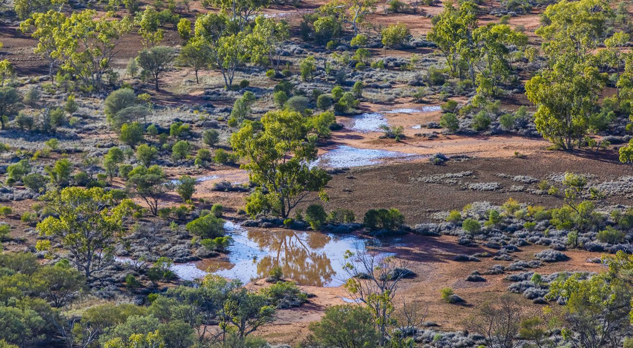 An aerial view features a sandy landscape comprised of water, rocks and small green trees.
