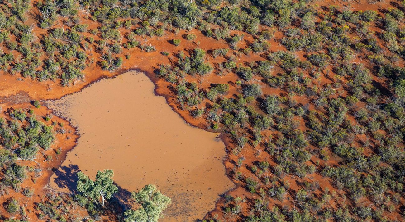 Aerial view of Cuttaburra National Park
