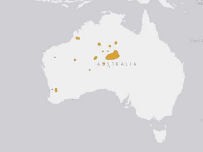Distribution of Black-flanked Rock-wallaby