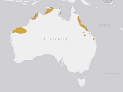 Northern Quoll areas