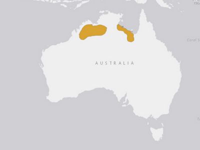 Purple Crowned Fairywren areas