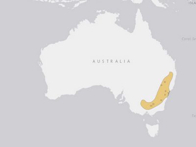 Regent Honeyeater area