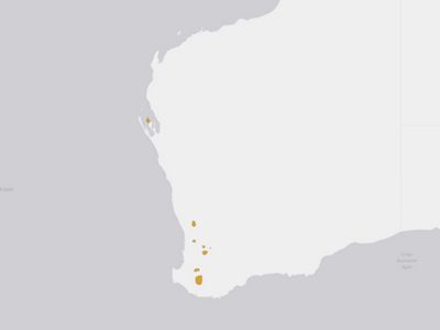 Woylie areas