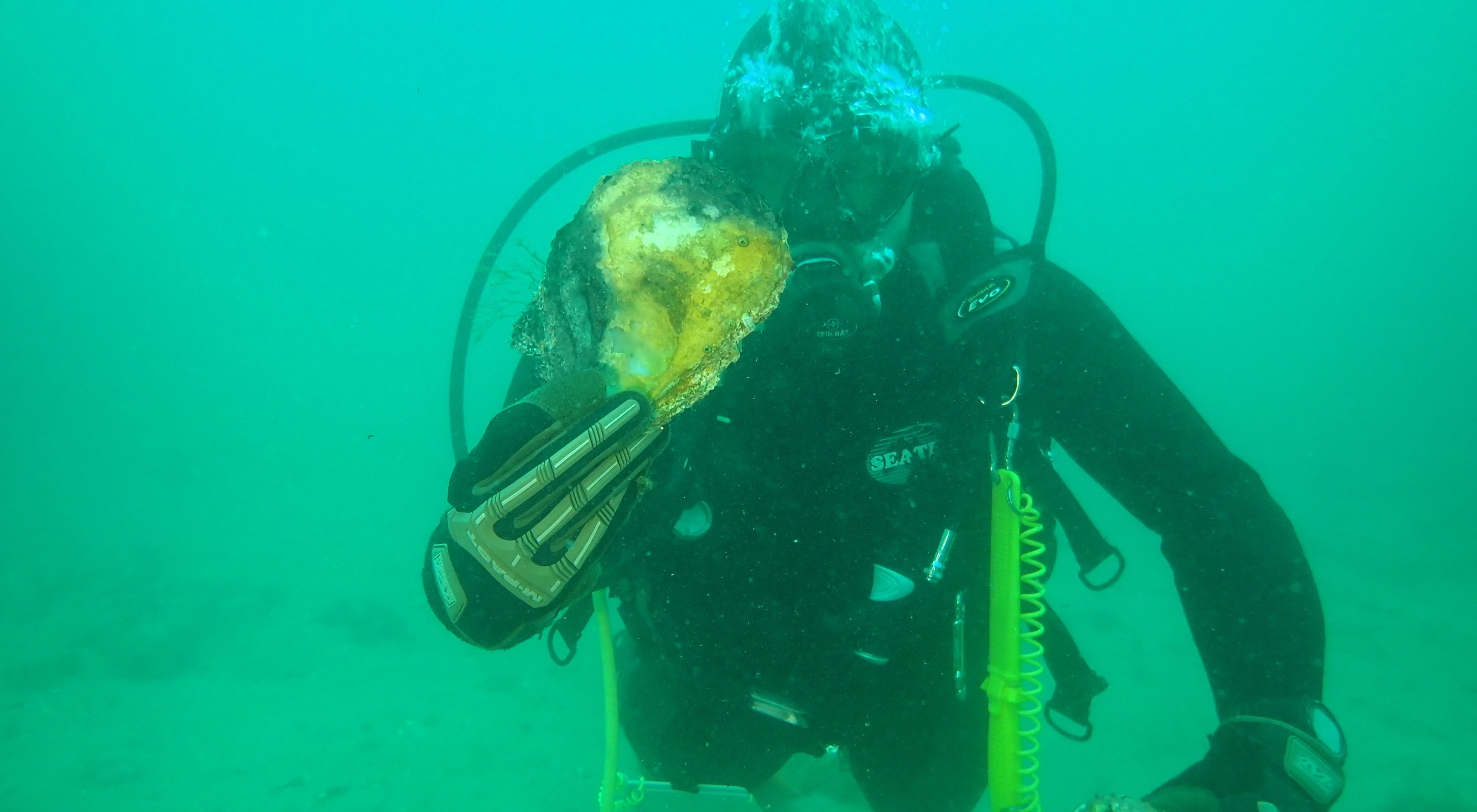 finds evidence of lost oyster reefs off Dromana, Victoria
