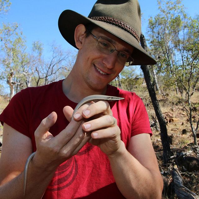 Outback Conservation Officer holding a legless lizard
