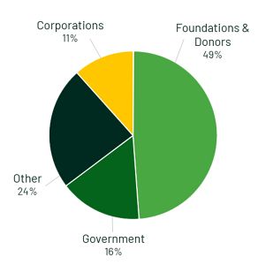 FY25 Revenue Graph