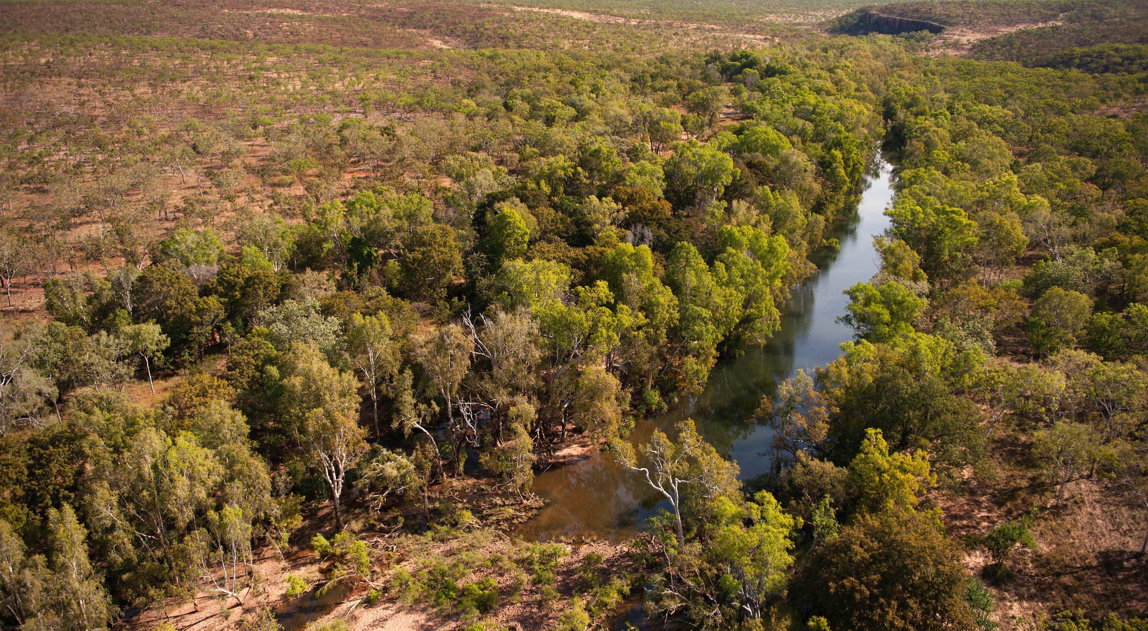is home to a plethora of unique species and some of the world's oldest human artwork, this area is ecologically, socially and culturally vital for Australia.