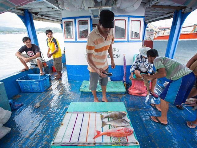 a man on a boat stands over some caught fish as they're being measured