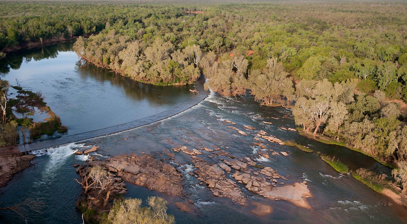 aerial view of a river surrounded by trees