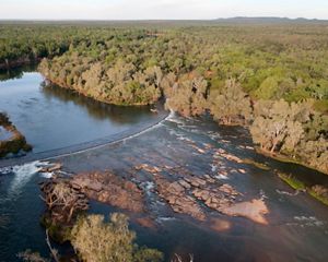 Aerial view of a river surrounded by trees