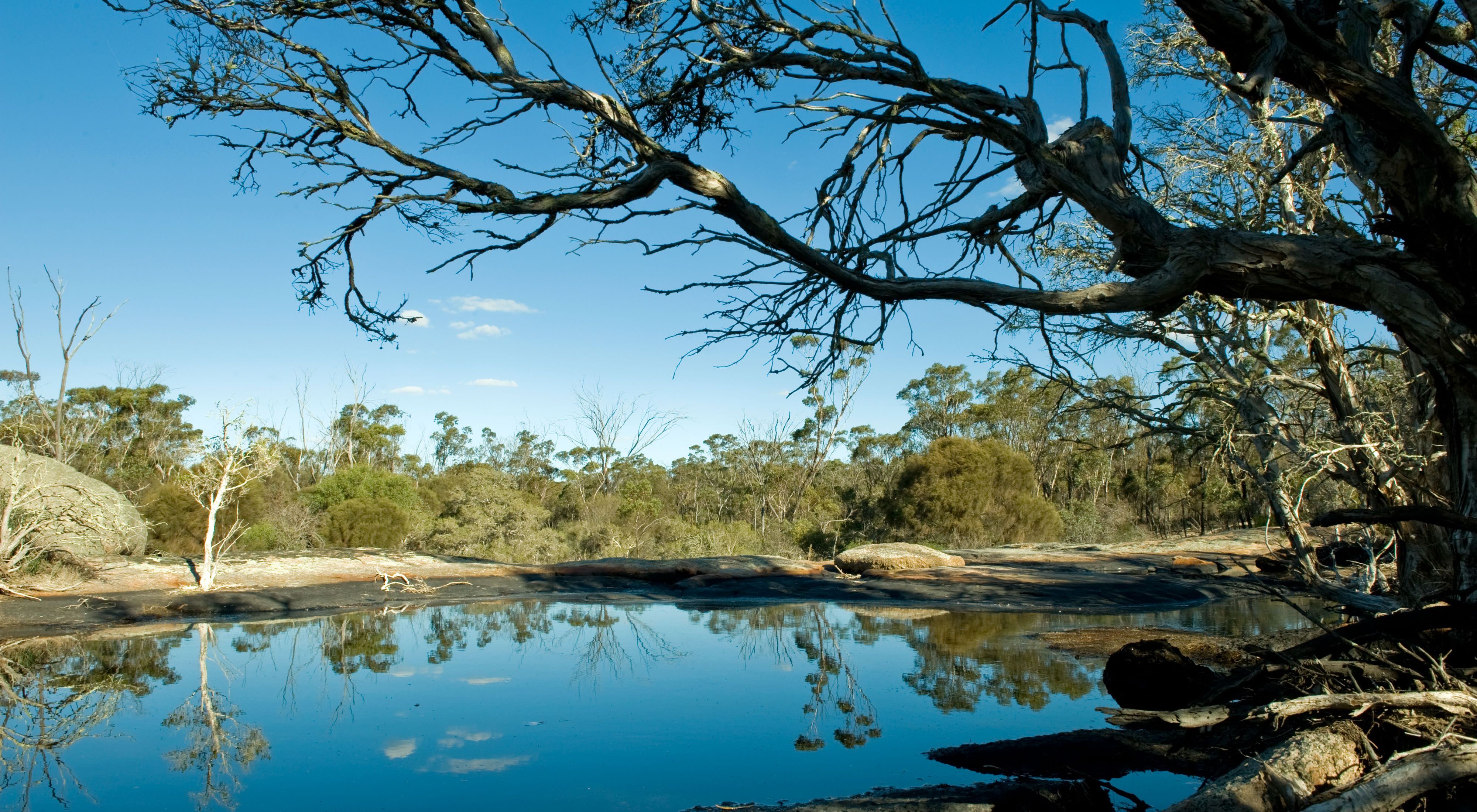 Gondwana Link, Western Australia