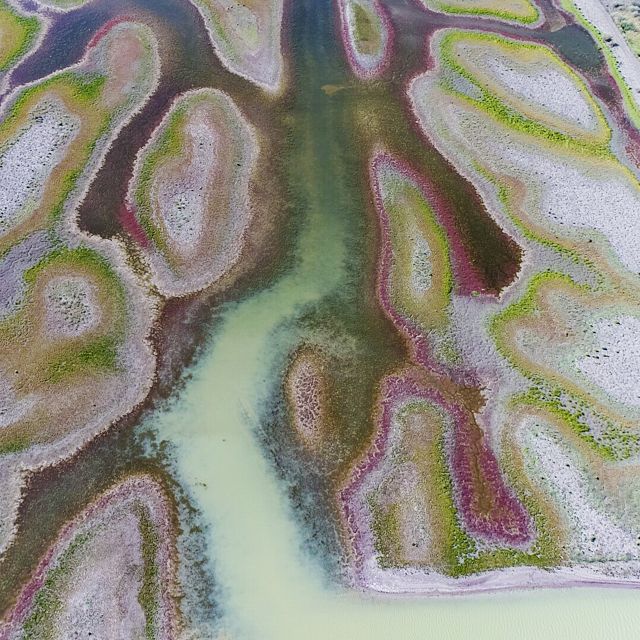 Gayini wetlands from the air