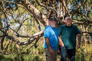 Two people stand under a large tree.