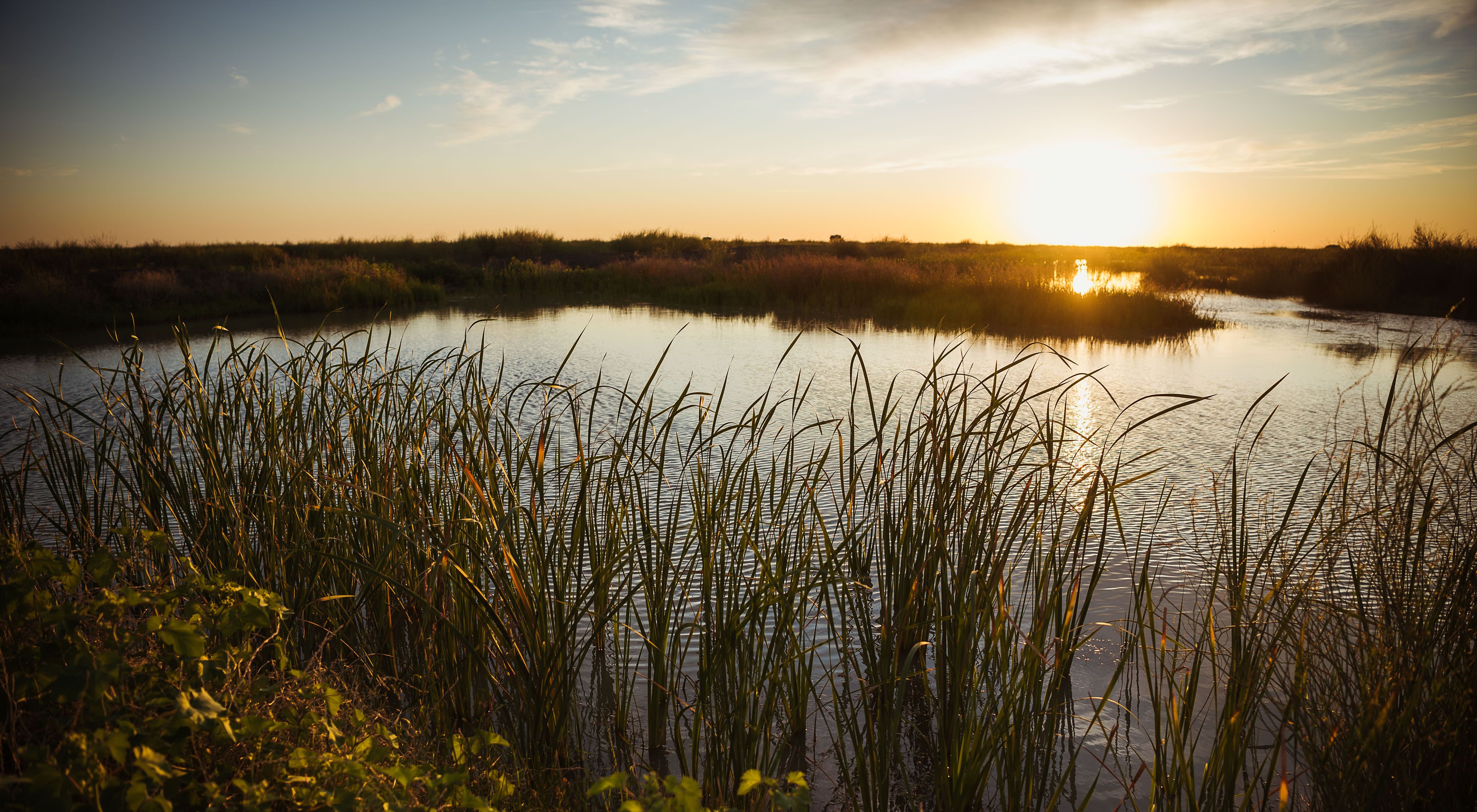Gayini's wetlands with sunset