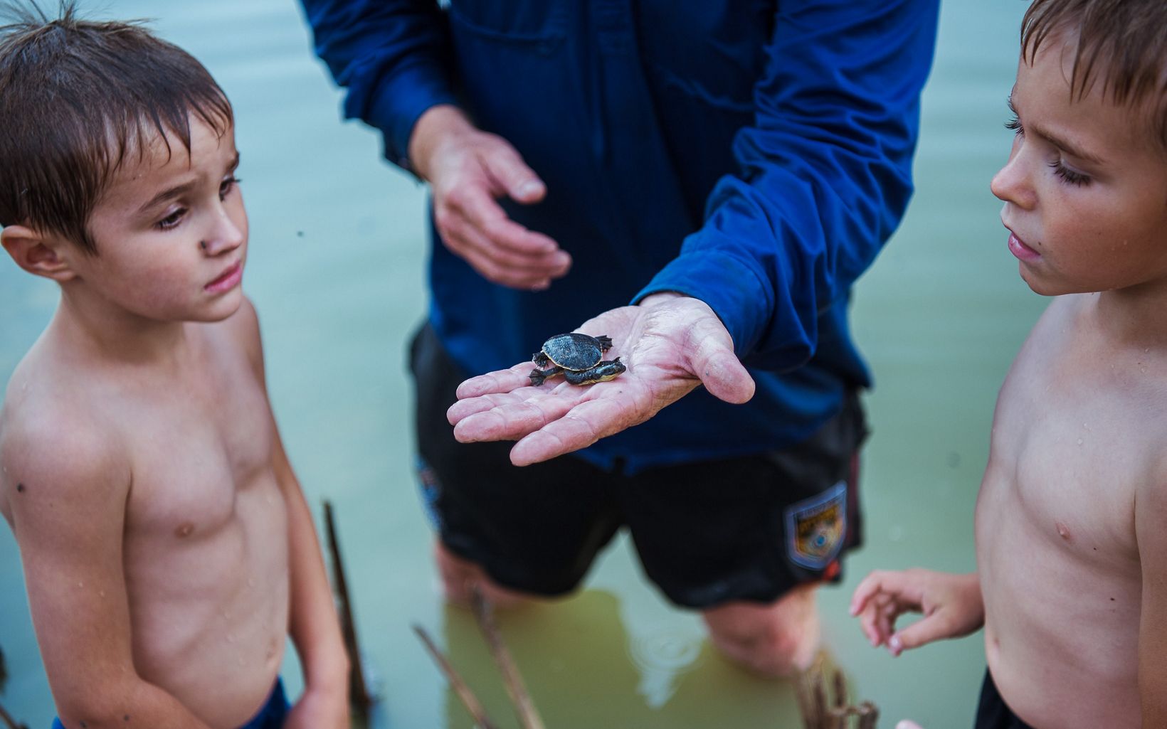 Oakan, Jamie and Bronx Woods with a young Eastern Long-necked Turtle at Gayini © Annette Ruzicka