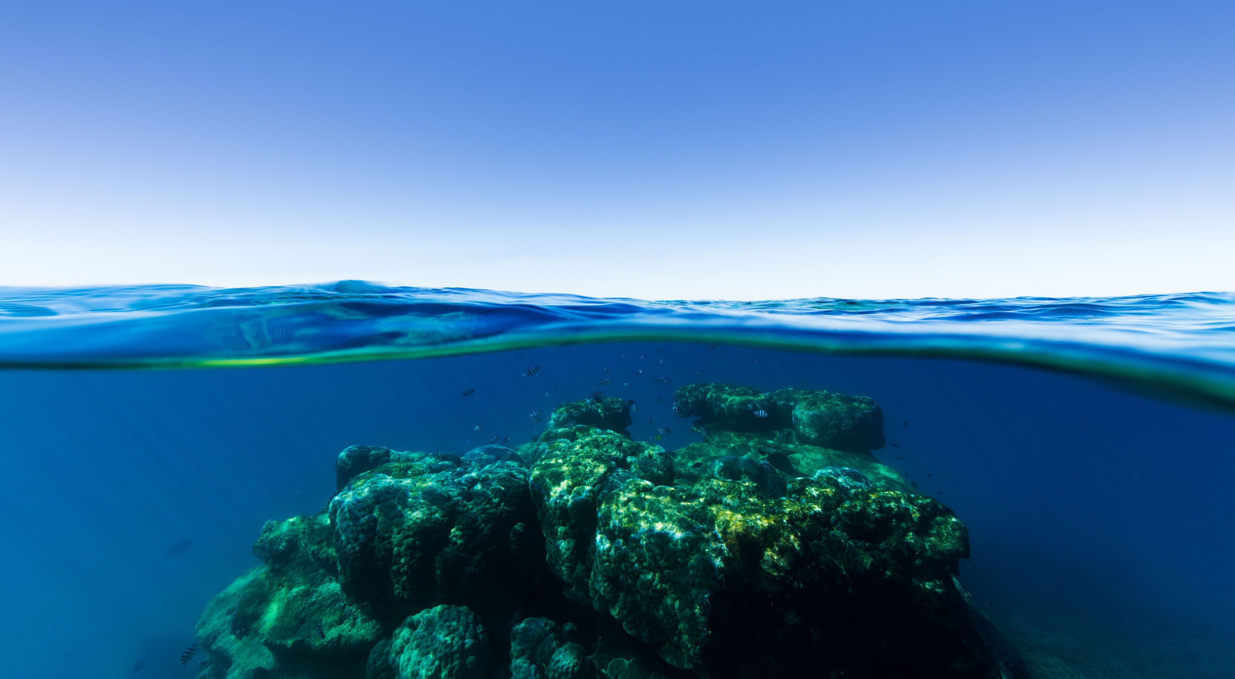 Great Barrier Reef , Queensland