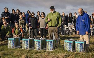 A crowd observing the release of eight Takahē (large swamp hens) into protected grasslands.