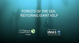 Forests of the Sea documentary title screen