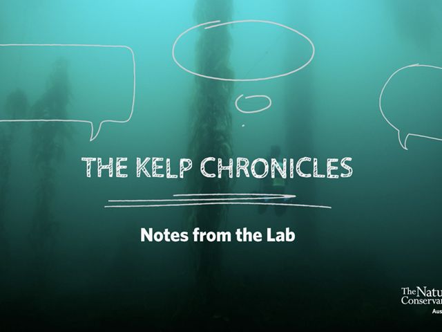 KC2 - Notes from the Lab