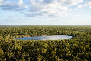 An aerial view of a lake surrounded be dense forrest.