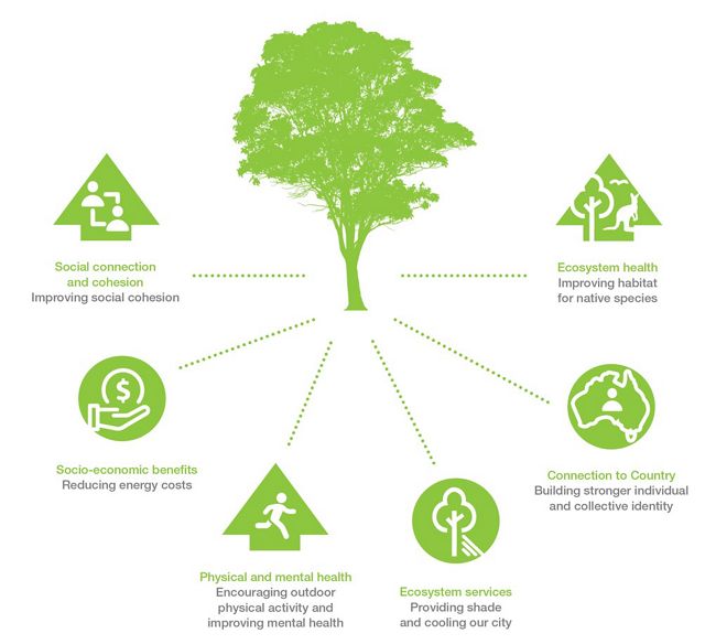 the benefits of trees 