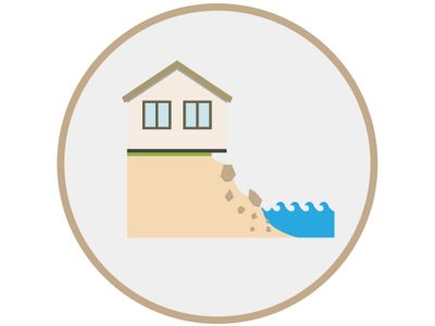 coastal wetlands help preserve shoreline assets and infrastructure