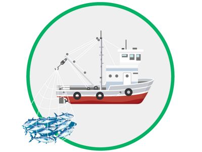 About 95% of all commercially important fish species depend on coastal habitats
