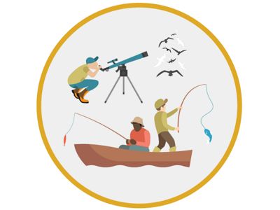 Coastal wetlands are recreational hotspots