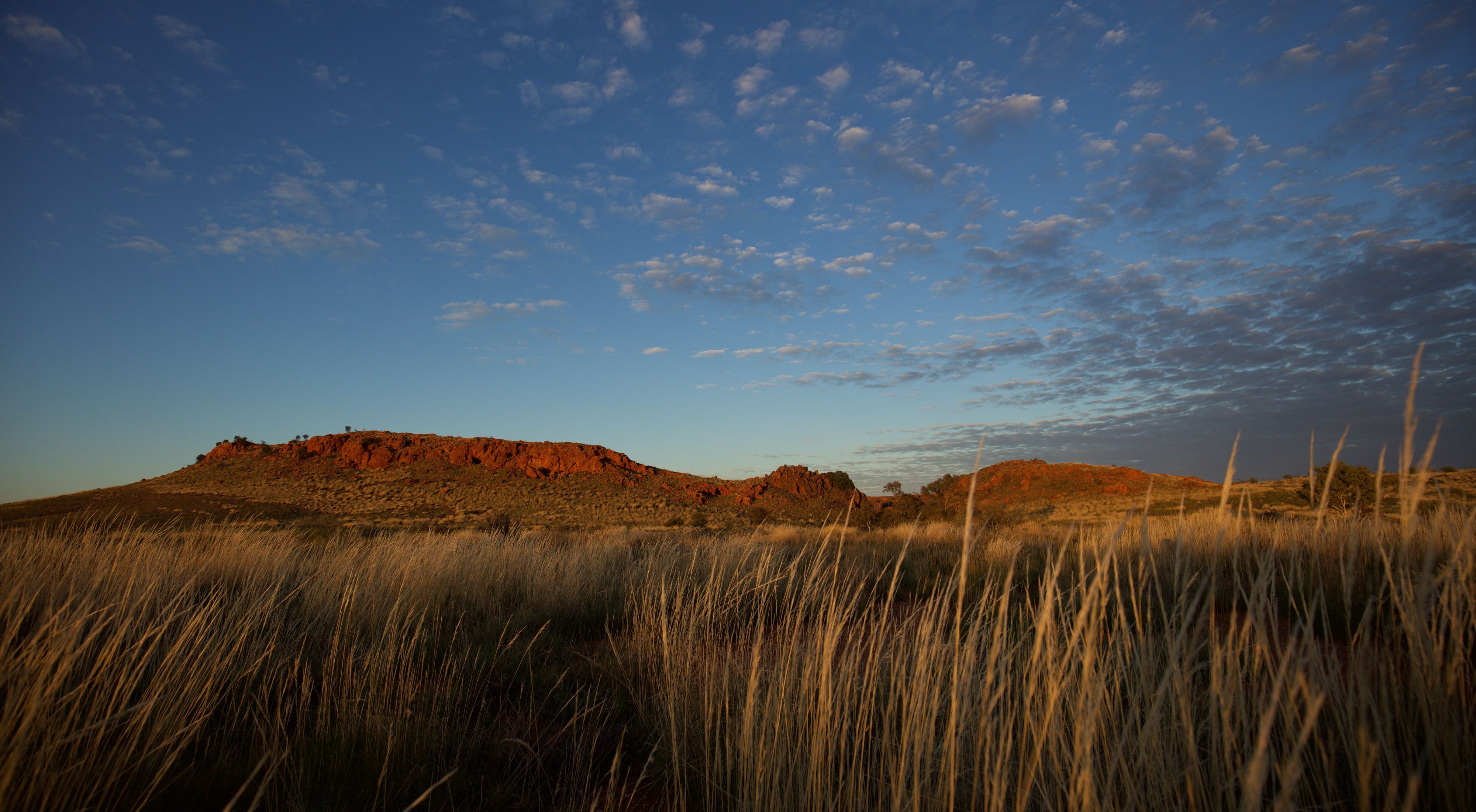 Beautiful Martu country at dusk in Australia.