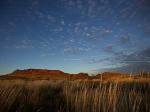 Australia's red mountains as viewed from the grassy plains.