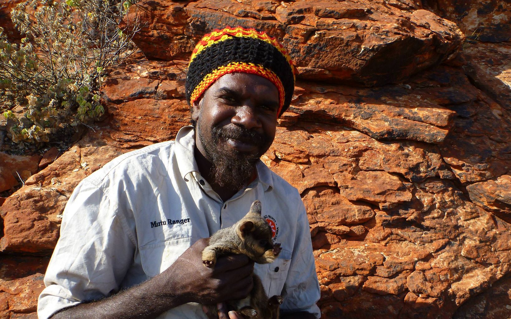 Martu ranger with Warru (Black-flanked Rock-wallaby) joey © Kanyirninpa Jukurrpa