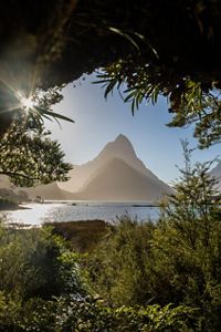 A view through trees at a mountain peak.