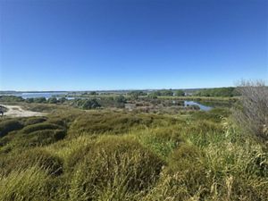 Landscape view of a grassy bank and a waterway.
