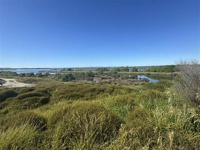 Landscape view of a grassy bank and a waterway.