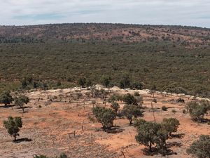 Aerial view of Australian landscape with red dirt and trees