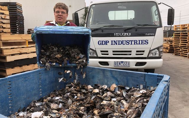 recycling shells for Shuck Don't Chuck