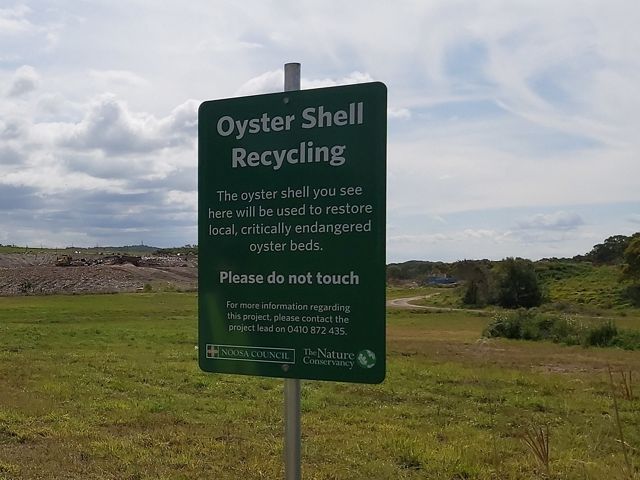 Noosa shell recycling