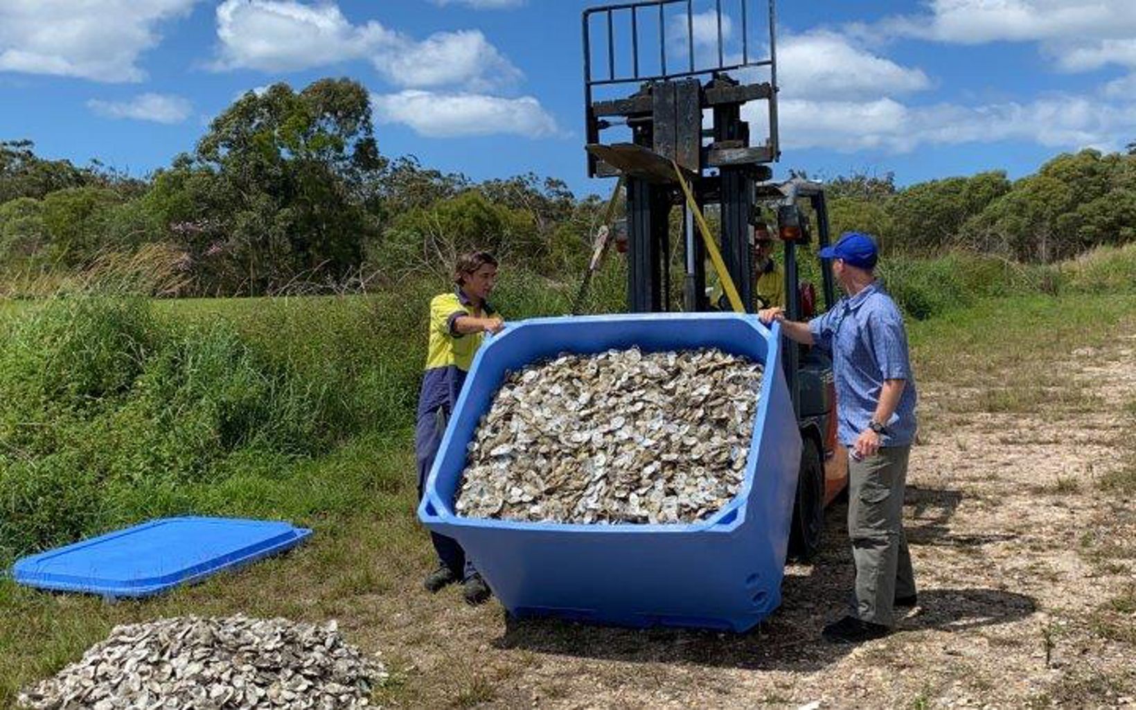 Recycled shells Noosa's first load of recycled shells delivered to the curing site © Noosa Shire Council