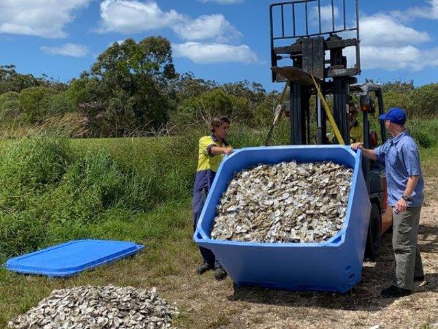 Noosa's first load of recycled shells delivered to the curing site