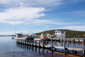 Putting the Oyster Reefs Back Into Oyster Harbour