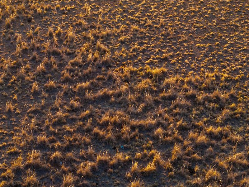 An aerial photograph features a grassland landscape.