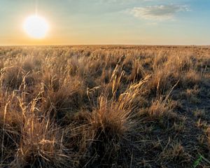 Sunrise at Patho Plains