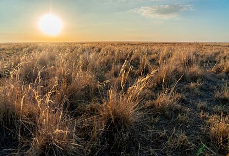 Sunrise at Patho Plains