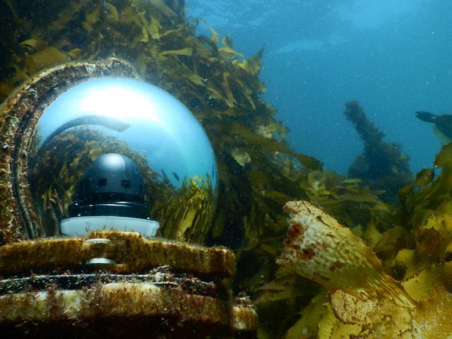 Underwater reef cam live feed