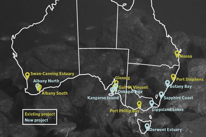 An outline map of Australia with all restoration projects listed