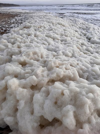 Foam on the beach